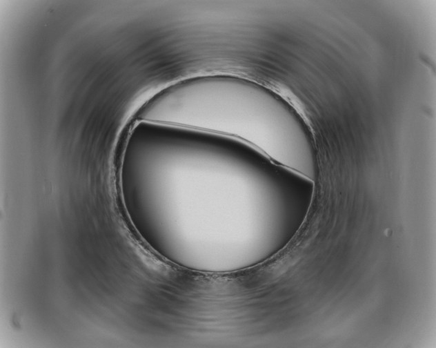 X0000096151072200801180824