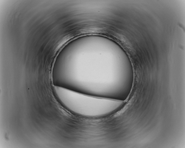X0000096151073200801180824