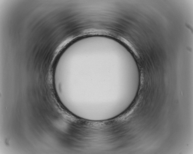 X0000096151074200801180824