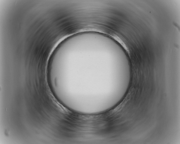 X0000096151076200801180824