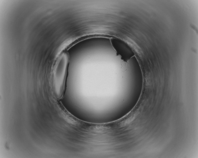 X0000096151077200801180824