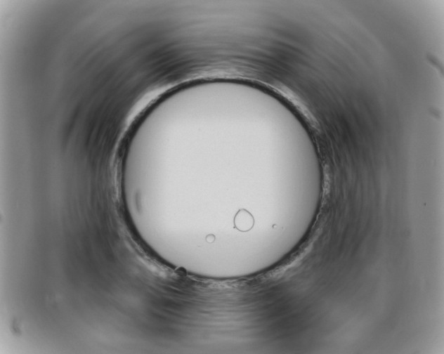 X0000096151078200801180824