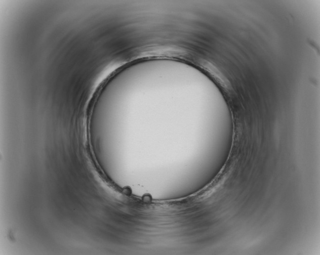 X0000096151079200801180824
