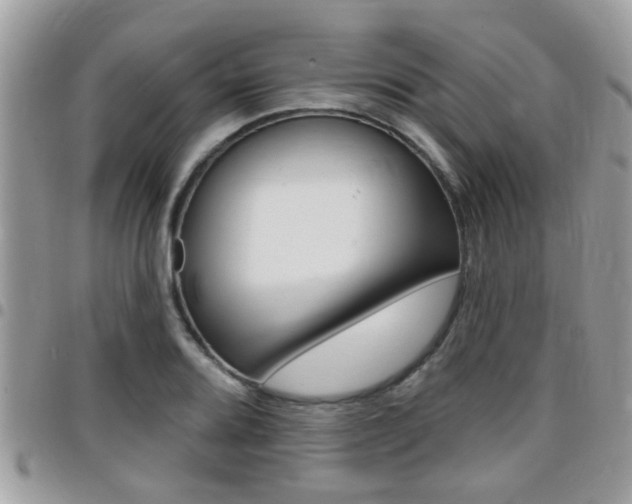 X0000096151080200801180824