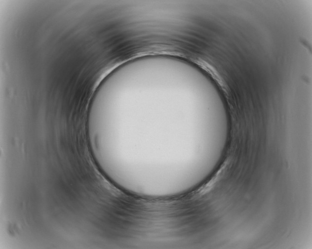 X0000096151081200801180824
