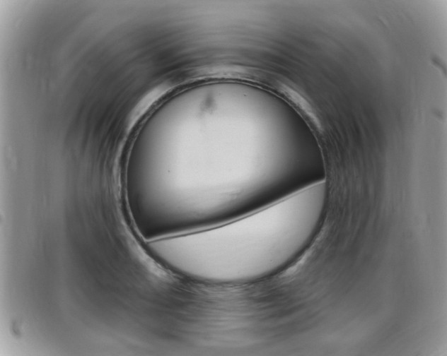 X0000096151082200801180824