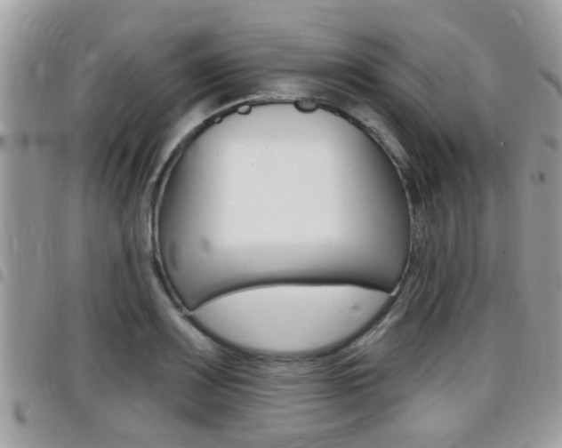 X0000096151083200801180824