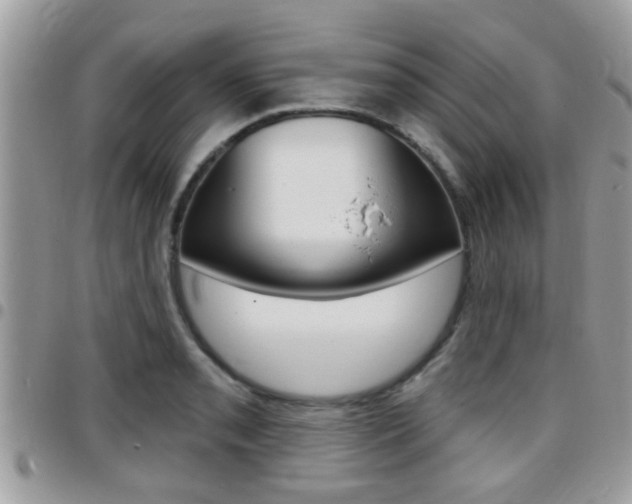 X0000096151085200801180824