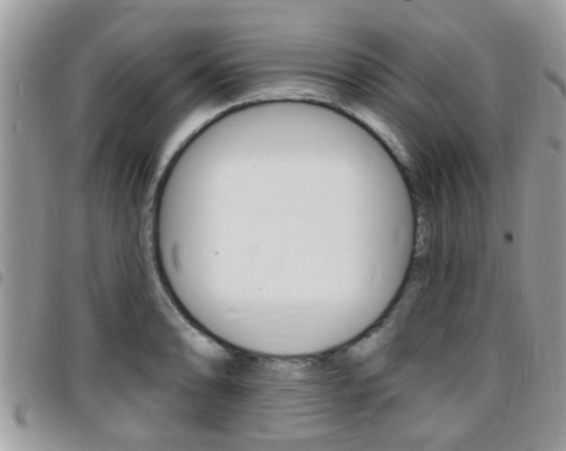 X0000096151086200801180824