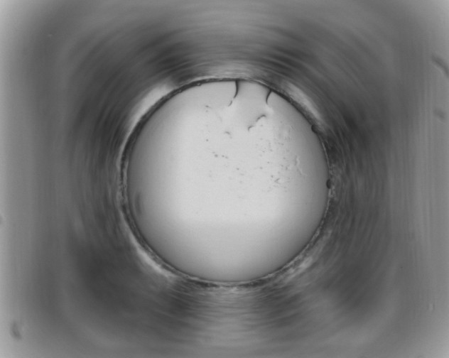 X0000096151087200801180824