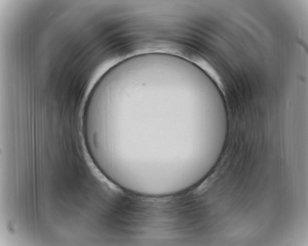 X0000096151088200801180824