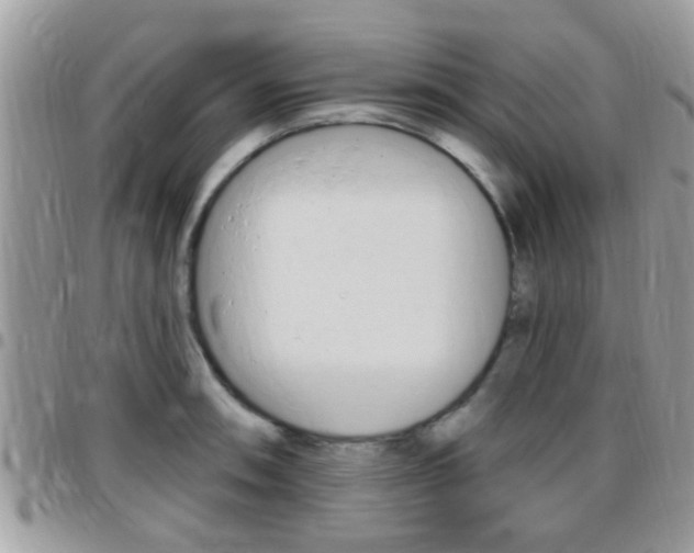X0000096151090200801180824