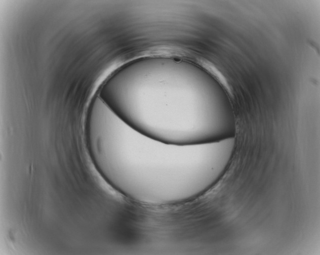 X0000096151091200801180824