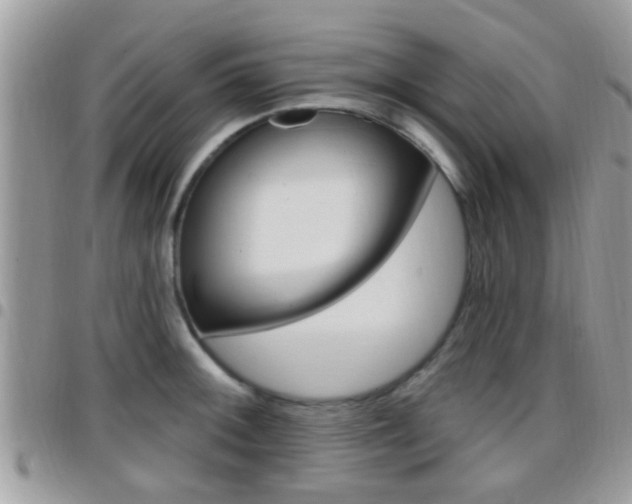 X0000096151092200801180824