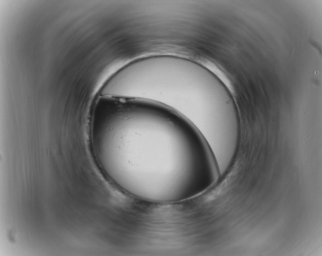 X0000096151093200801180824