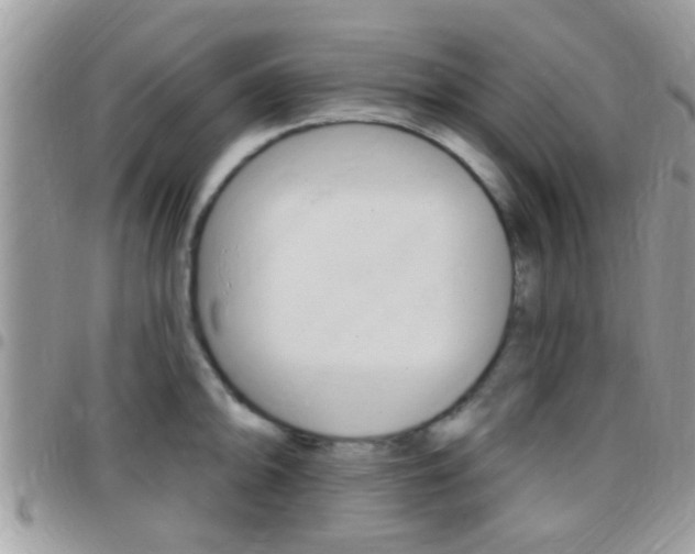 X0000096151094200801180824