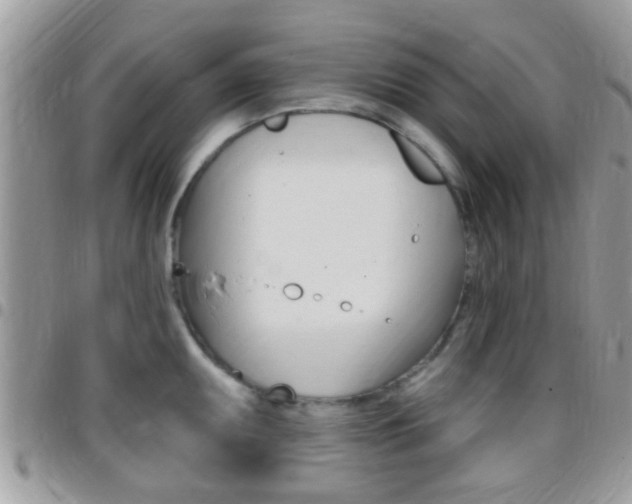 X0000096151095200801180824