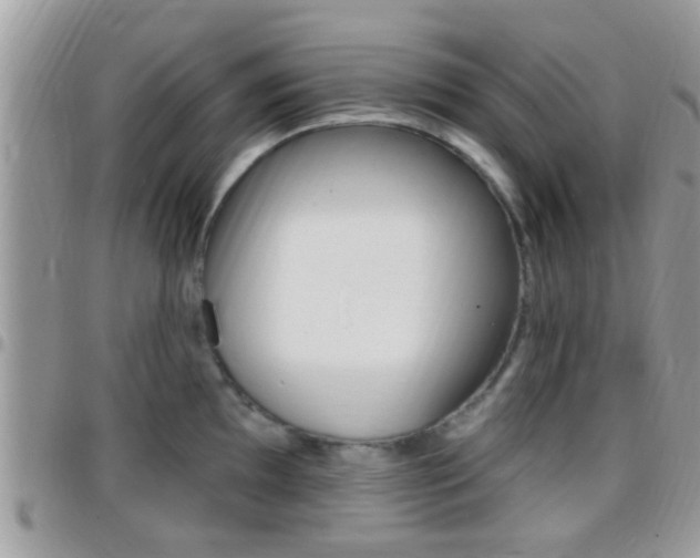 X0000096151097200801180824