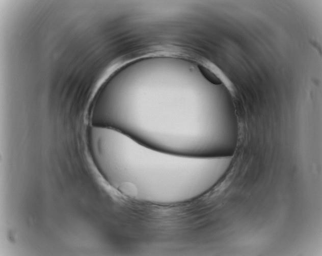 X0000096151099200801180824