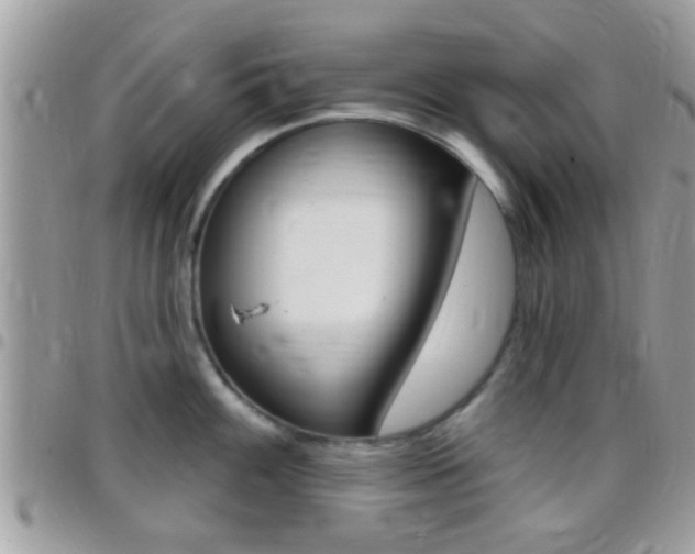 X0000096151100200801180824