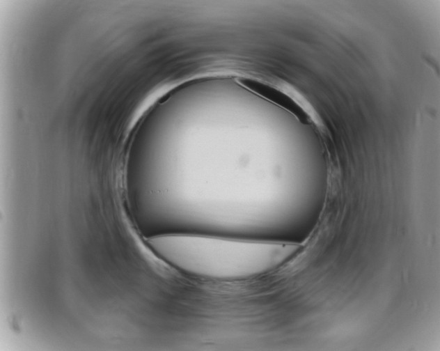 X0000096151101200801180824