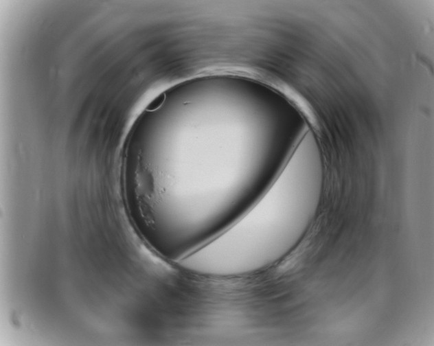 X0000096151102200801180824