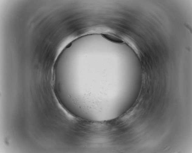X0000096151103200801180824