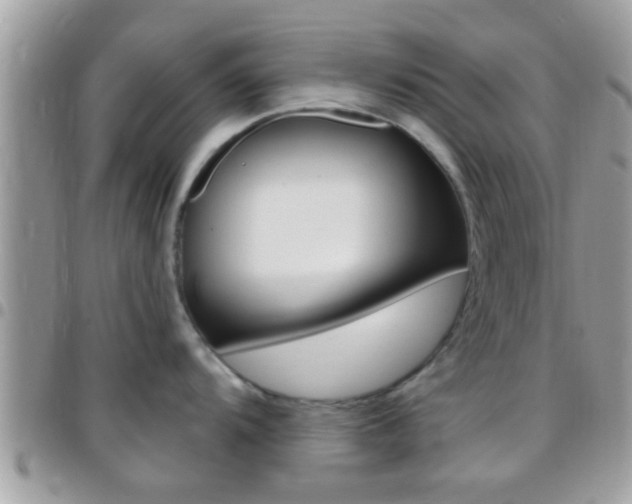 X0000096151104200801180824