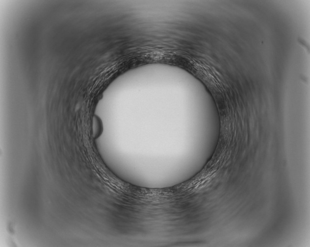 X0000096151105200801180823