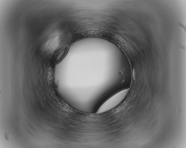 X0000096151107200801180823