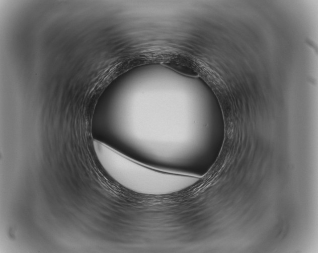 X0000096151108200801180823