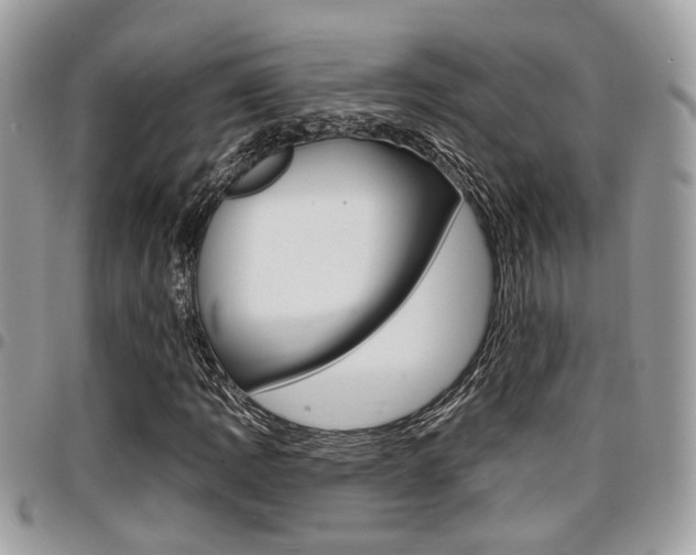 X0000096151109200801180823