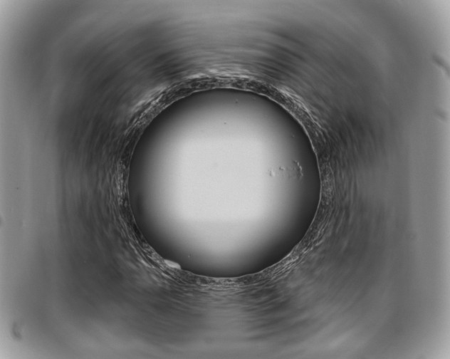 X0000096151110200801180823