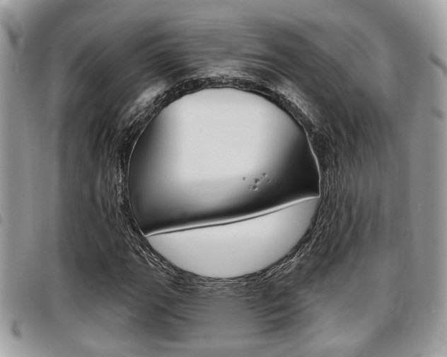X0000096151111200801180823