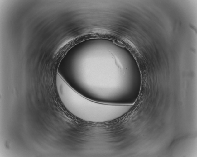 X0000096151112200801180823