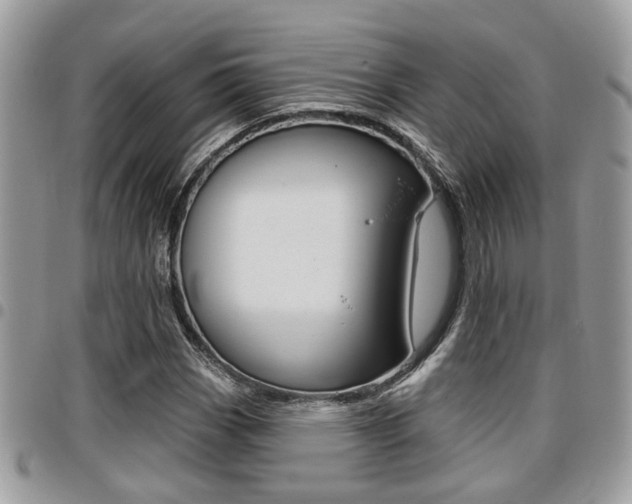 X0000096151113200801180823