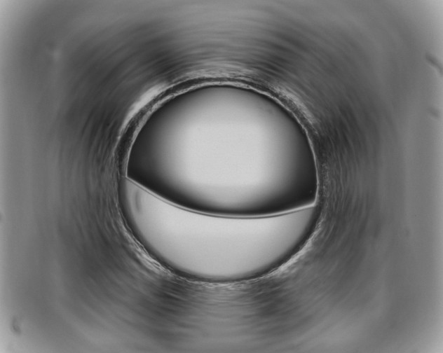 X0000096151114200801180823