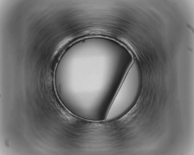 X0000096151115200801180823