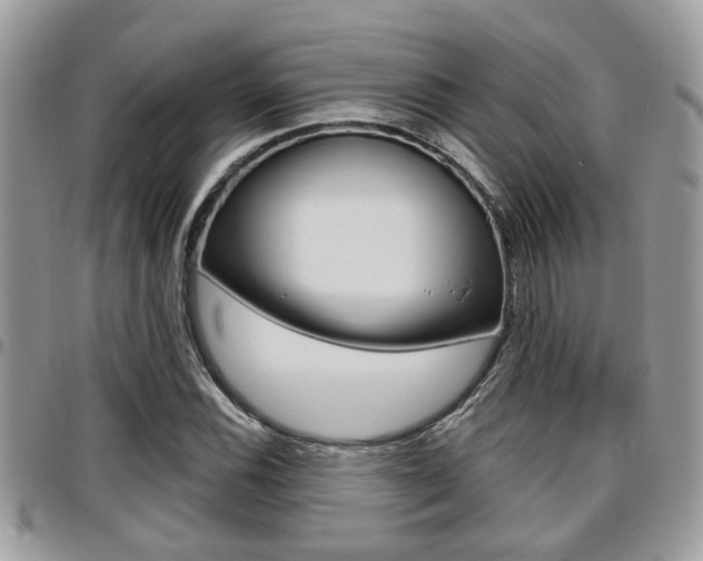 X0000096151116200801180823