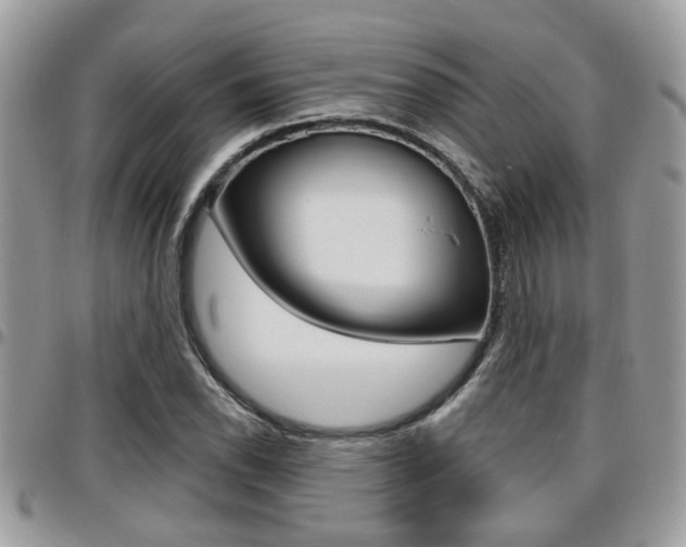 X0000096151118200801180823