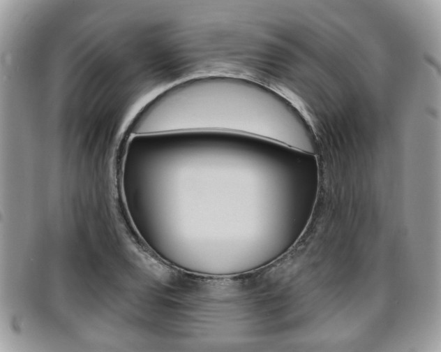 X0000096151120200801180823
