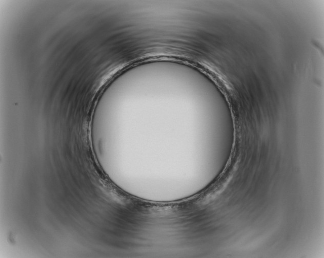 X0000096151121200801180823