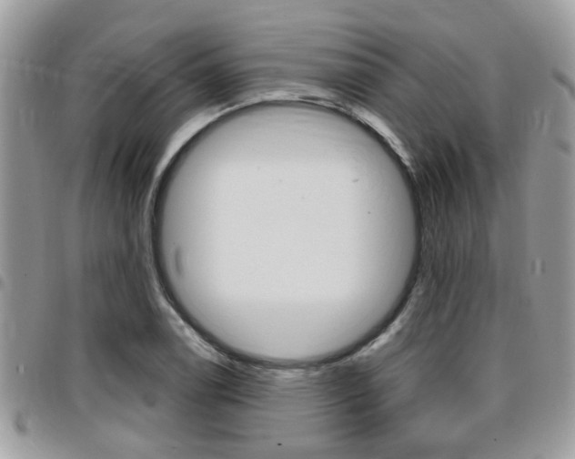 X0000096151122200801180823