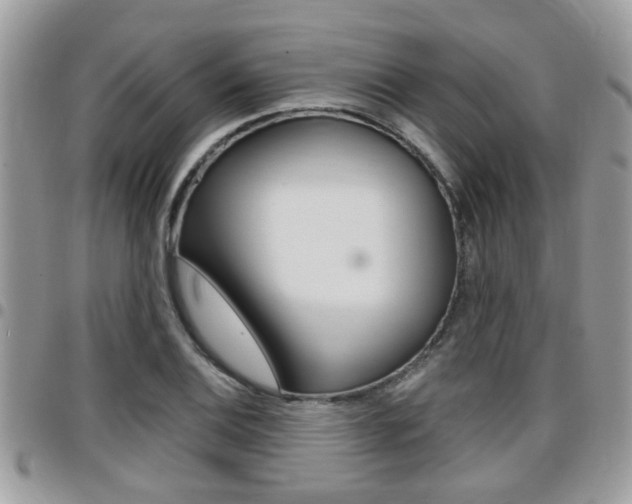 X0000096151124200801180823