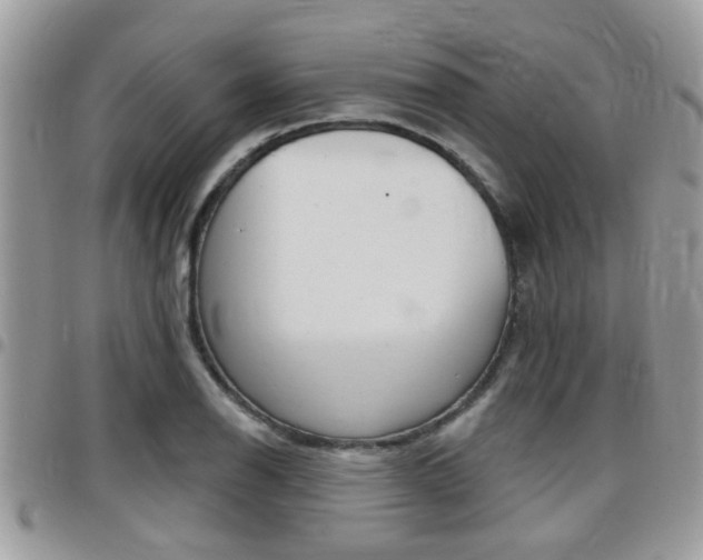 X0000096151126200801180823
