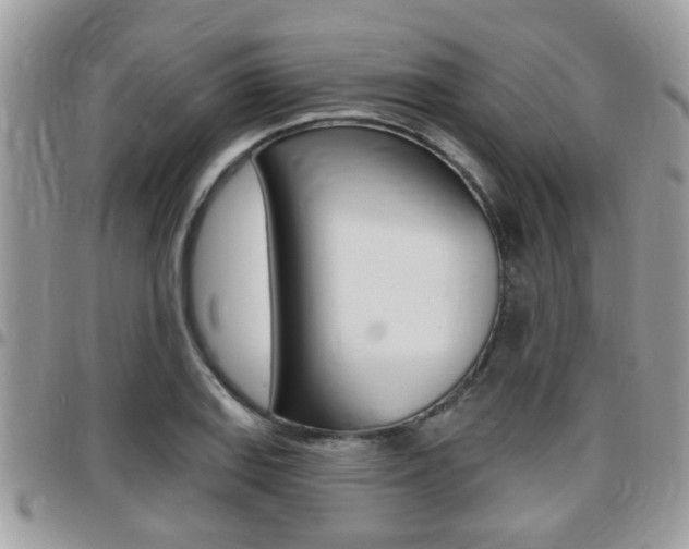 X0000096151127200801180823