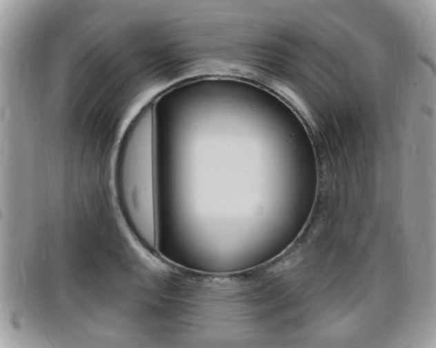 X0000096151128200801180823