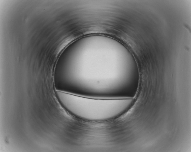 X0000096151129200801180823
