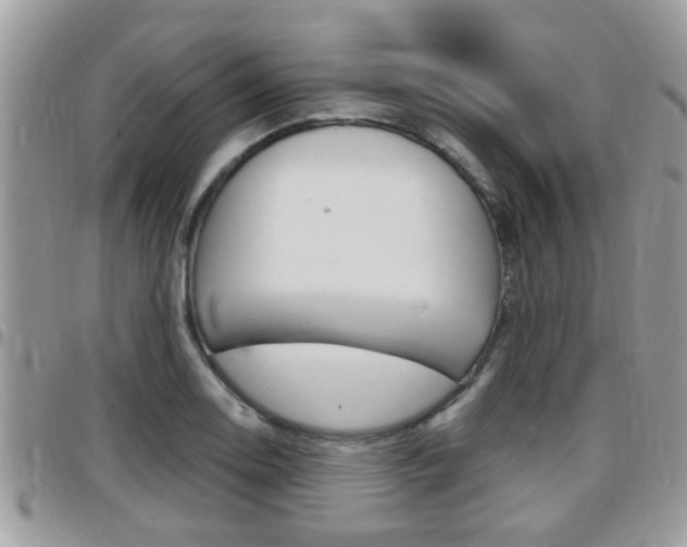 X0000096151130200801180823