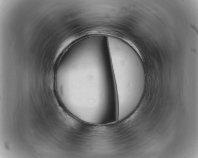 X0000096151131200801180823
